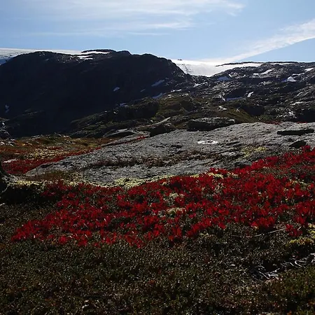 Hotel Jondal 3* Jondal