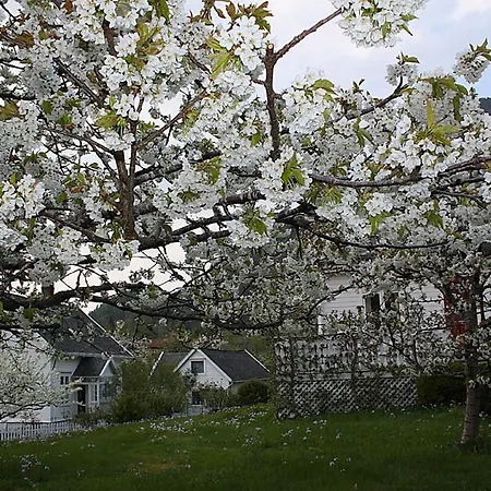 Hotel Jondal Bed and breakfast Jondal