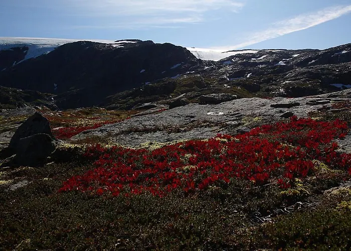 Hotel Jondal 3* Jondal